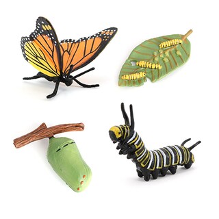 Foto 1 | Foto 1 | Juego De Figuras De Pvc Educativo Sobre El Ciclo De Vida De La Mariposa Monarca 4 Piezas - Venta Internacional.