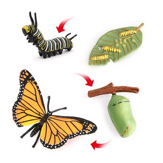 Foto 2 | Foto 2 | Juego De Figuras De Pvc Educativo Sobre El Ciclo De Vida De La Mariposa Monarca 4 Piezas - Venta Internacional.
