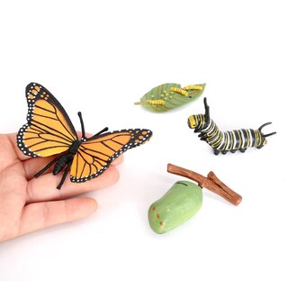 Foto 3 | Foto 3 | Juego De Figuras De Pvc Educativo Sobre El Ciclo De Vida De La Mariposa Monarca 4 Piezas - Venta Internacional.