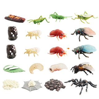 Foto 1 | Foto 1 | Juego De Figuras Del Ciclo De Vida De Insectos Modelos De Insectos 20 Piezas De Pvc Para Niños - Venta Internacional.