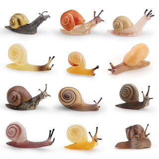 Foto 1 | Foto 1 | Set De 12 Figuras De Caracol Realista En Miniatura De Pvc Para Amantes De La Naturaleza - Venta Internacional.