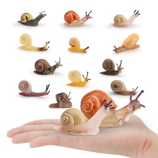 Foto 2 | Foto 2 | Set De 12 Figuras De Caracol Realista En Miniatura De Pvc Para Amantes De La Naturaleza - Venta Internacional.