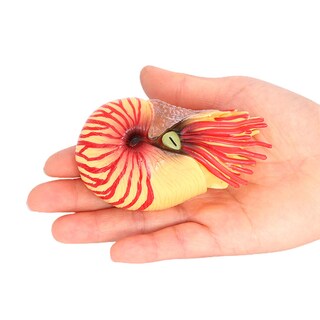 Foto 2 | Foto 2 | Set De Figuras Realistas Nautilus Ancient Marine Animal X6 Para Niños - Venta Internacional.