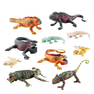 Foto 1 | Foto 1 | Juego De Figuras Realistas De Lagarto Y Camaleón De Pvc Para Niños 10 Piezas - Venta Internacional.