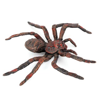 Foto 1 | Foto 1 | Figura Realista De Araña Lobo Pvc Cazador De Pájaros Araña Mod - Venta Internacional.