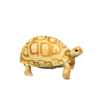 Foto 1 | Foto 1 | Figura Realista De Plástico Con Forma De Tortuga Radiada 12 Cm Para Niños - Venta Internacional.