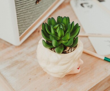 Foto 5 | Foto 5 | Minimoleta Toynk The Golden Girls De Cerámica Rosa Con Suculentas - Venta Internacional.