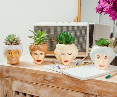 Foto 7 | Foto 7 | Minimoleta Toynk The Golden Girls De Cerámica Rosa Con Suculentas - Venta Internacional.