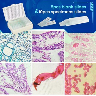 Foto 7 | Foto 7 | Microscopio Monocular Compuesto Sedumic 40x-2000x Para Niños/adultos - Venta Internacional.