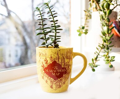 Foto 6 | Foto 6 | Taza De Café Silver Buffalo Harry Potter Marauder's Map 750 Ml - Venta Internacional.