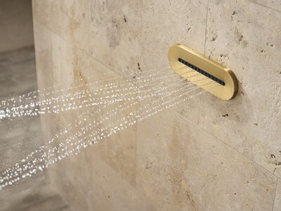 Foto 4 | Foto 4 | Cabezal De Ducha Kohler Statement Oblongo Negro 14 Canales 2.5 Gpm - Venta Internacional.