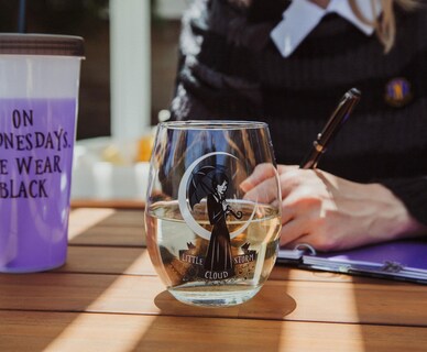Foto 6 | Foto 6 | Copa De Vino Sin Tallo Silver Buffalo Addams Family Wednesday - Venta Internacional.