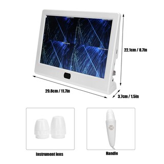 Foto 7 | Foto 7 | Detector De Cuero Cabelludo Fokh De 13 Pulgadas Con Lente 50x/200x Recargable - Venta Internacional.