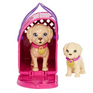 Foto 3 | Foto 3 | Barbie Set De Juego Adopta Un Perrito Latina Para Niñas De 3 Años En Adelante