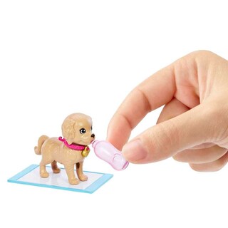 Foto 4 | Foto 4 | Barbie Set De Juego Adopta Un Perrito Latina Para Niñas De 3 Años En Adelante
