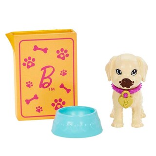 Foto 5 | Foto 5 | Barbie Set De Juego Adopta Un Perrito Latina Para Niñas De 3 Años En Adelante