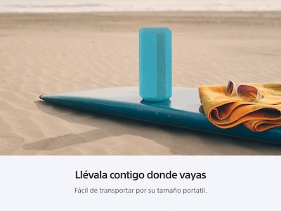 Foto 6 | Foto 6 | Sony Bocina Inalámbrica Portátil Xe300 De La Serie X