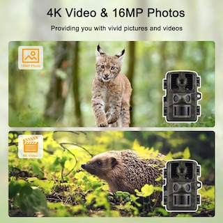 Foto 4 | Foto 4 | Cámara De Rastreo 16mp 4k Cámara De Exploración De Vida Silvestre Con Pantalla A Color Tft De 2.0 Pulgadas Sensores Pir Tiempo