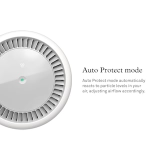 Foto 6 | Foto 6 | Molekule Purificador De Aire Mini+ – Purifica Habitaciones De Hasta 250 Pies Cuadrados – Purificador Inteligente Con Alta Tasa D