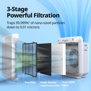 Foto 5 | Foto 5 | Coway Purificadores De Aire Para El Hogar De Hasta 1.748 Pies Cuadrados  Filtro Hepa Verdadero Para Humo  Alergias  Caspa De Mas