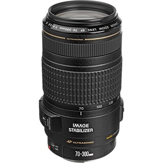 Foto 2 | Foto 2 | Lente Canon Ef 70-300 Mm F/4-5.6 Is Usm Para Canon Eos Slr - Venta Internacional.