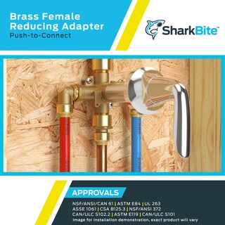 Foto 5 | Foto 5 | Adaptador Reductor Fnpt Sharkbite Brass Push De 3/8 Pulgadas X 1/2 Pulgadas - Venta Internacional.
