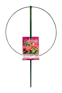 Foto 1 | Foto 1 | Anillo Doble Peony Cage Luster Leaf 978 45 X 90 Cm Acero - Venta Internacional.