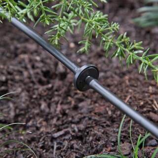 Foto 3 | Foto 3 | Gotero De Riego Por Goteo Raindrip R117ct 1 Gph Paquete De 10 - Venta Internacional.
