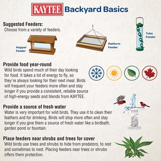 Foto 4 | Foto 4 | Finch Sock Kaytee Super 750 Ml Para Semillas De Nyjer O Alimento Para Pinzones Silvestres - Venta Internacional.