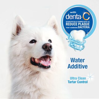 Foto 5 | Foto 5 | Aditivo De Agua Para Perros Nylabone Advanced Bucal Care 480 Ml - Venta Internacional.