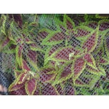 Malla Uv Dewitt Bb720 Para Barricadas Para Pájaros 213 X 610 Cm - Venta Internacional.