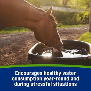 Foto 5 | Foto 5 | Polvo Electrolítico Farnam Apple Elite 2 3 Kg Para Caballos - Venta Internacional.