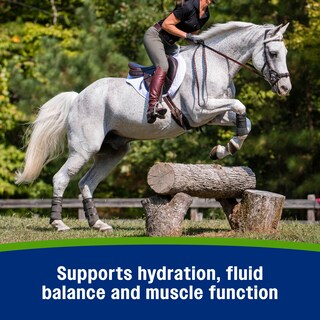 Foto 6 | Foto 6 | Polvo Electrolítico Farnam Apple Elite 2 3 Kg Para Caballos - Venta Internacional.