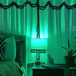 Foto 5 | Foto 5 | Bombilla Feit Electric A19 4 5 W Led Verde Regulable - Venta Internacional.