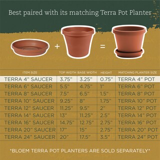 Foto 4 | Foto 4 | Platillo Para Plantas Bloem Terra Resin Tradicional 2 5 X 33 02 X 28 57 Cm - Venta Internacional.