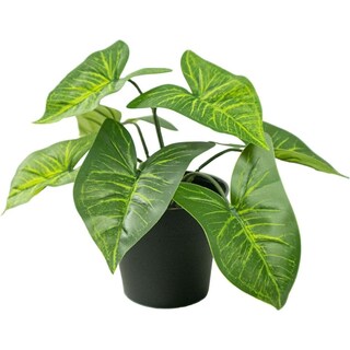 Foto 1 | Foto 1 | Maceta Hojas De Taro De Plástico Para Interior Minimalista