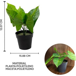 Foto 2 | Foto 2 | Maceta Hojas De Taro De Plástico Para Interior Minimalista