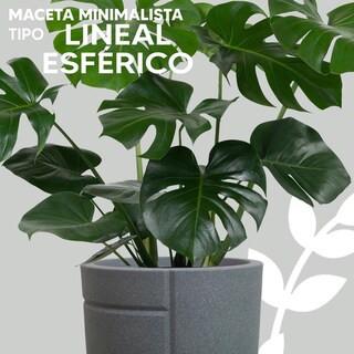 Foto 3 | Foto 3 | Maceta Minimalista Lineal Esfera Clara Exterior Color Gris
