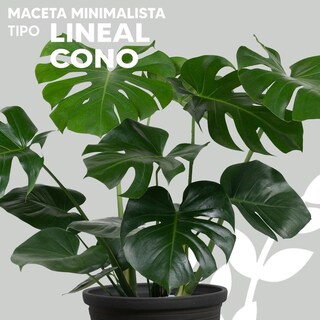Foto 3 | Foto 3 | Maceta Minimalista Diseño Lineal Color Color Rustic Marron