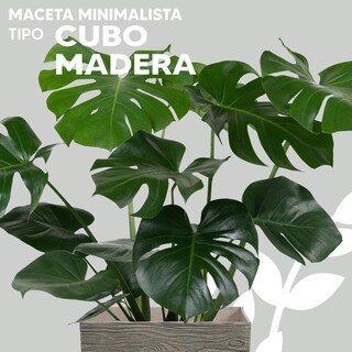 Foto 3 | Foto 3 | Maceta Vintage Estilo Cubo Exterior Color Brown Rustic Wood