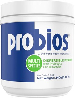 Foto 1 | Foto 1 | Polvo Digestivo Probios Vet Plus Para Perros Y Cachorros 240g - Venta Internacional.