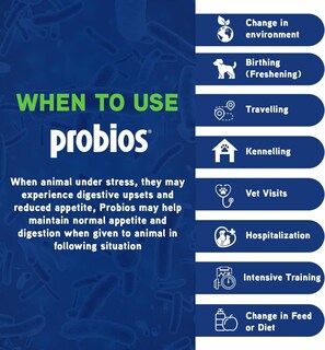 Foto 5 | Foto 5 | Polvo Digestivo Probios Vet Plus Para Perros Y Cachorros 240g - Venta Internacional.