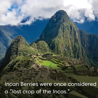Foto 7 | Foto 7 | Frutos Secos Wilderness Poets Bayas Incas Orgánicas 250 Ml - Venta Internacional.