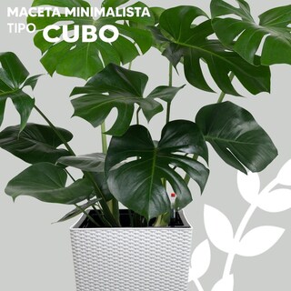 Foto 3 | Foto 3 | Maceta Alta Elegante Con Textura Wavey Color Blanco