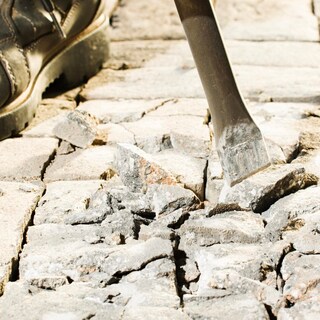Foto 5 | Foto 5 | Cincel Plano Bosch Hs1912 De 2 54 Cm X 45 72 Cm Sds-max Hammer Steel - Venta Internacional.