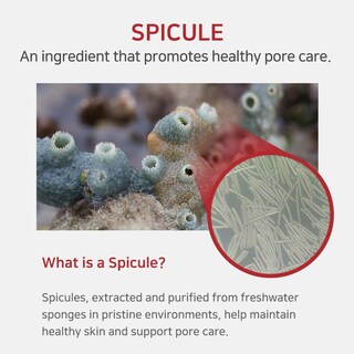 Foto 5 | Foto 5 | Crema Aplb Spicule Niacinamide Shot 260 55 Ml Para El Cuidado De La Piel Coreana - Venta Internacional.