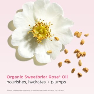 Foto 5 | Foto 5 | Paquete Hidratante Clarins Lip Oil 04 Y Lip Balm 02 Pitaya - Venta Internacional.