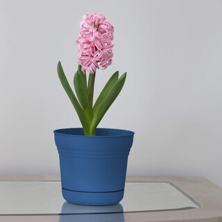 Foto 4 | Foto 4 | Maceta Bloem Saturn Con Plato Clásico Azul 1l (sp0533) - Venta Internacional.