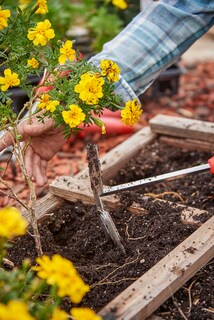 Foto 2 | Foto 2 | Manguera Soil Tiller Corona Ct 3344 De Acero Inoxidable Comfortgel - Venta Internacional.