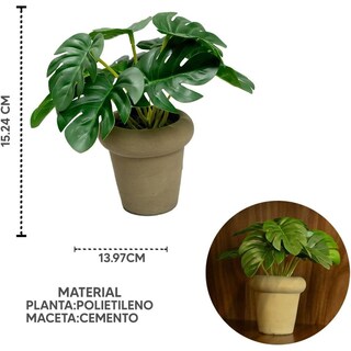 Foto 2 | Foto 2 | Monstera En Maceta De Cemento 15cm Color Café Hogar Interior